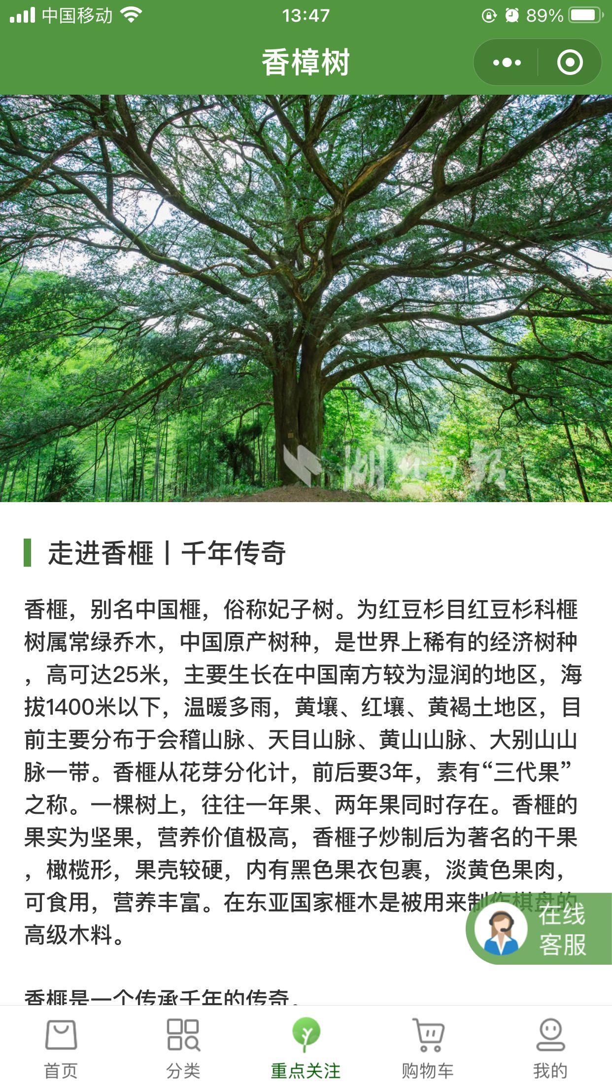康馨祥农业收益