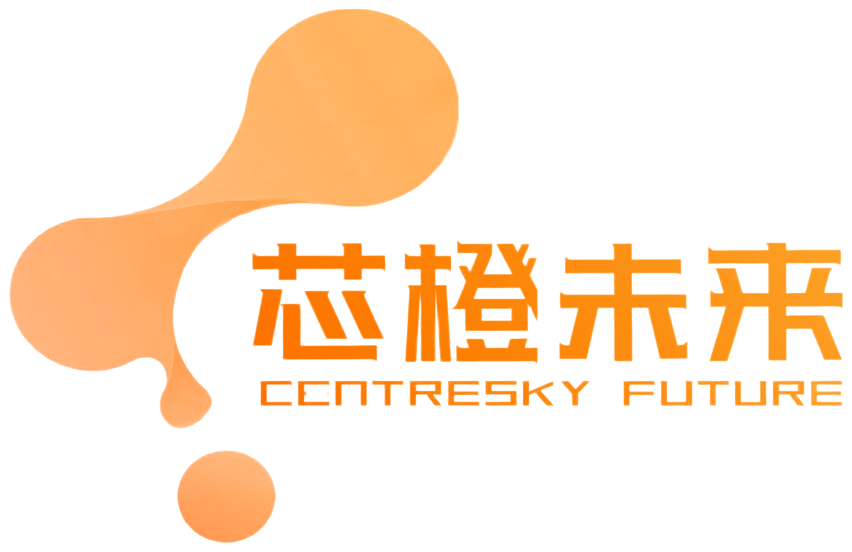 芯橙未来 CENTRESKY FUTURE